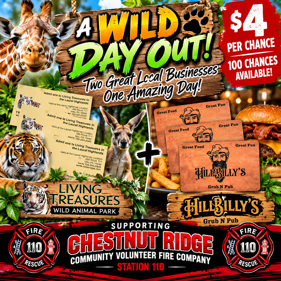 One WILD Day Out